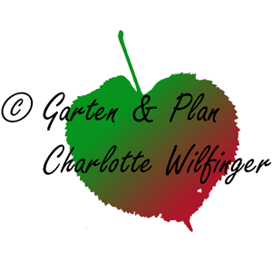 Logo Wilfinger Charlotte Dipl.-Ing. kreative Gartenplanung
