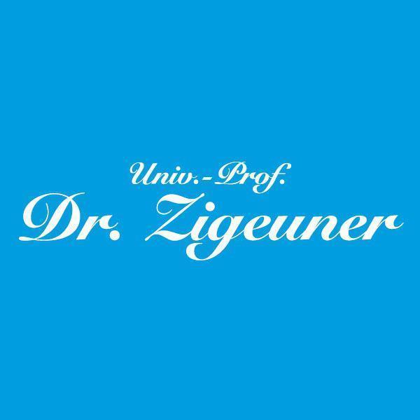 Logo Univ. Prof. Dr. Richard Zigeuner