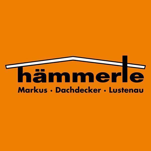 Logo Hämmerle Markus GmbH & Co KG