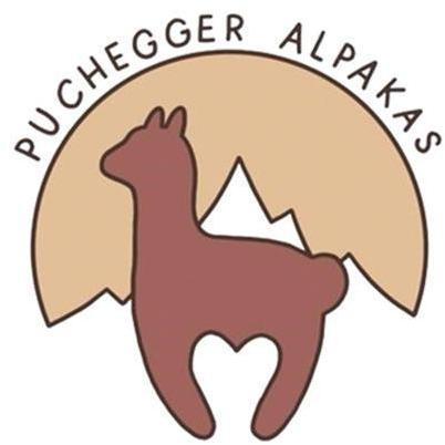 Logo Cornelia Puchegger Alpakas - Alpakawanderungen