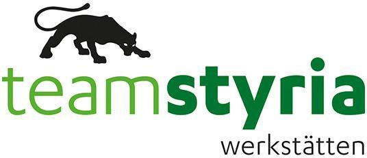 Logo Team Styria Werkstätten GmbH